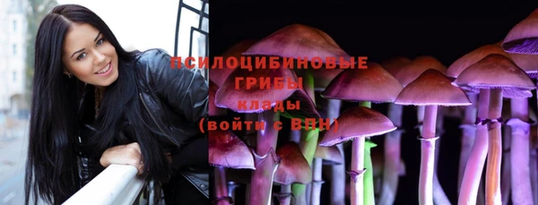 ALPHA-PVP Медногорск