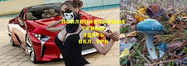 марки lsd Медвежьегорск