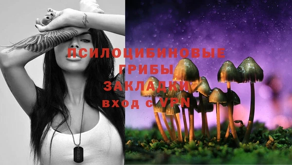 ALPHA-PVP Медногорск